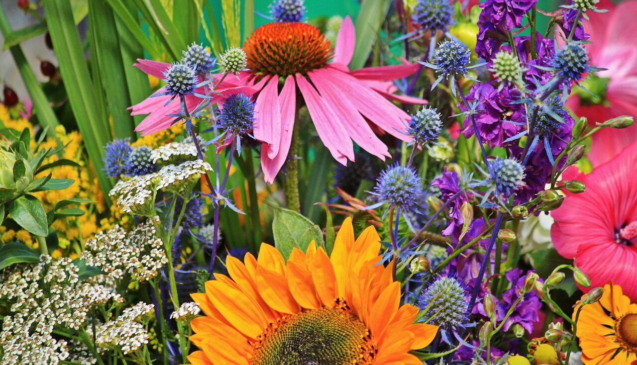 Pick and mix confused planting schemes