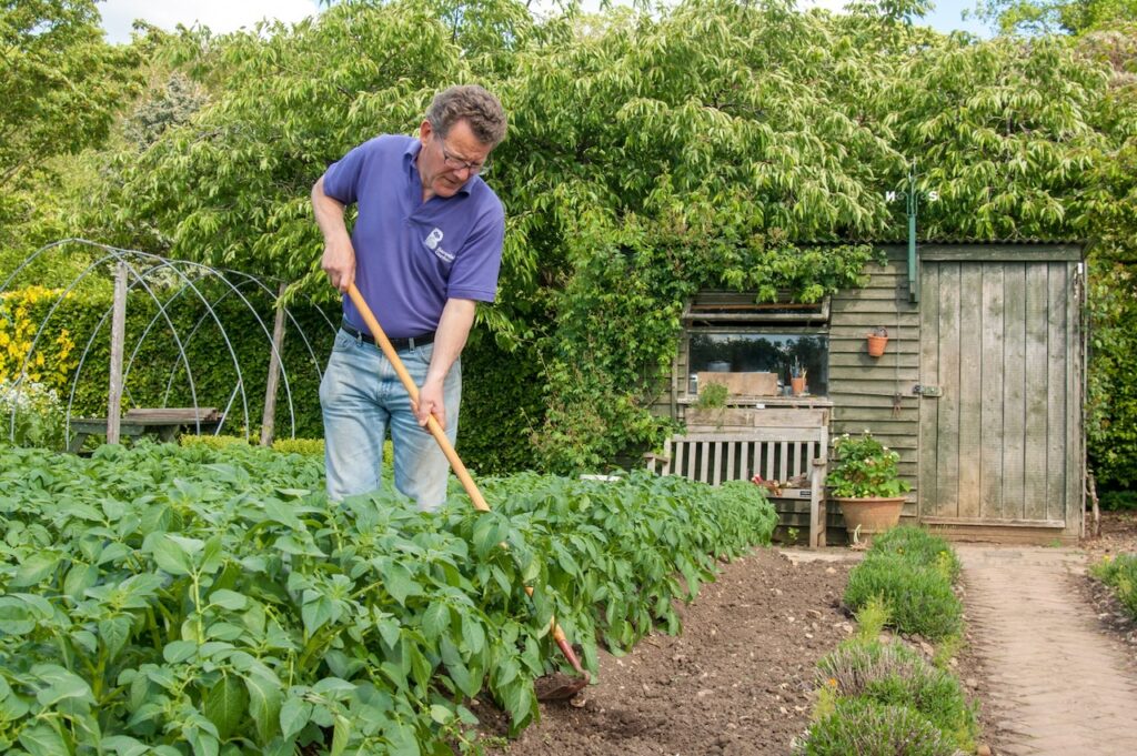 Nick hamilton peat free gardening