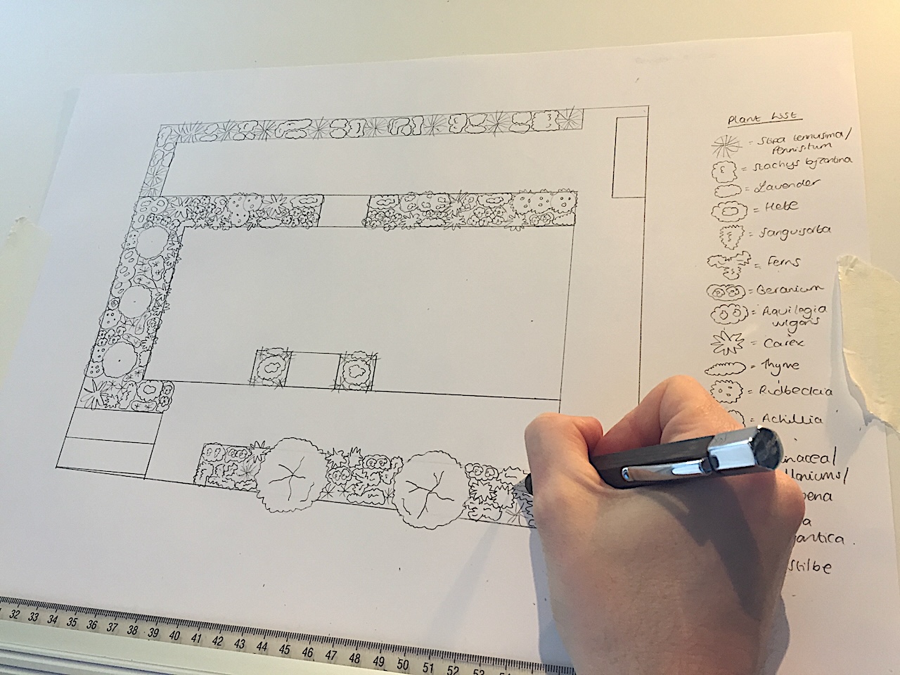 Drawing up a planting plan by hand with plants shown at their mature spread