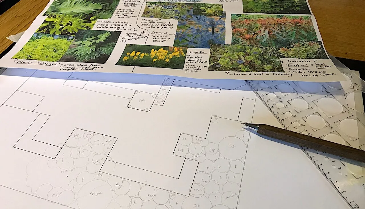 Using a template to draw up plants
