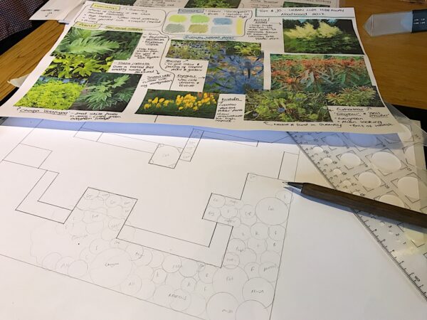Garden Rescue Design Process: The Complete Brief Template (Free Download)