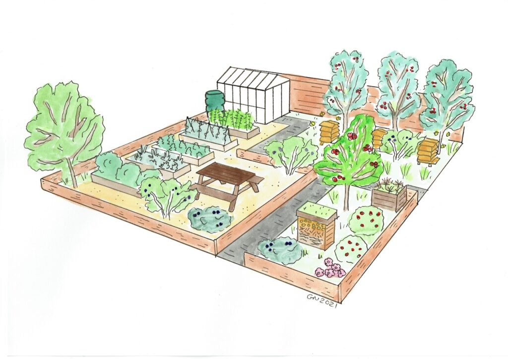 A productive allotment garden