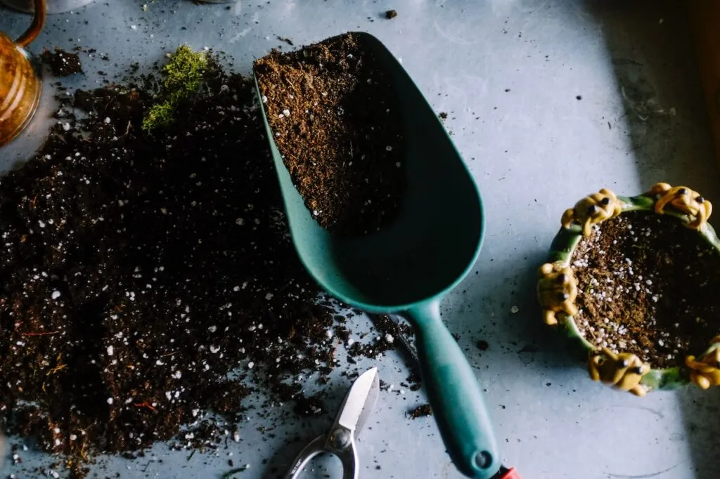 Peat-free compost for houseplants