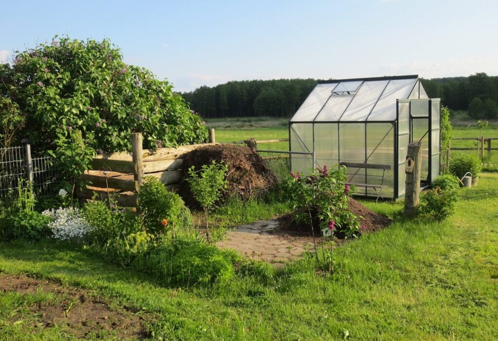 An allotment with crops