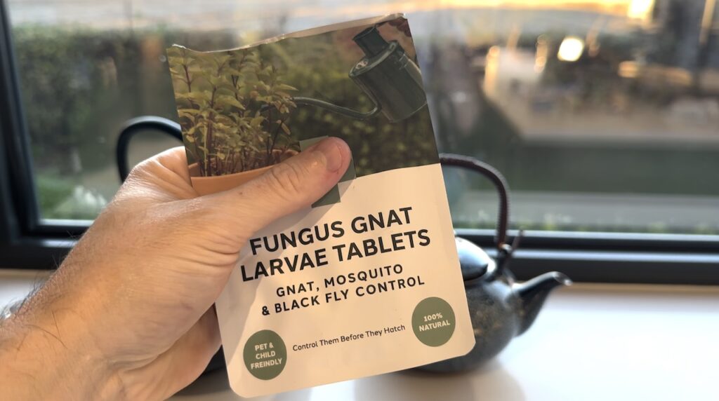 BTI tablets for fungus gnats