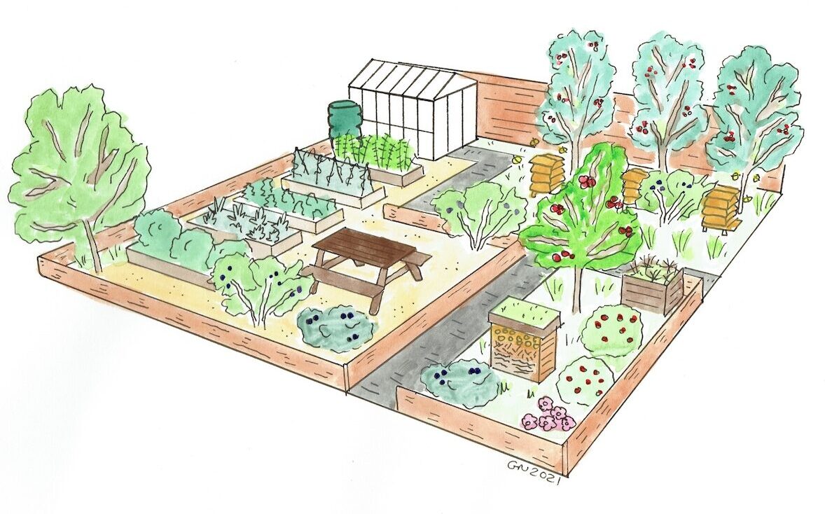 A productive allotment garden