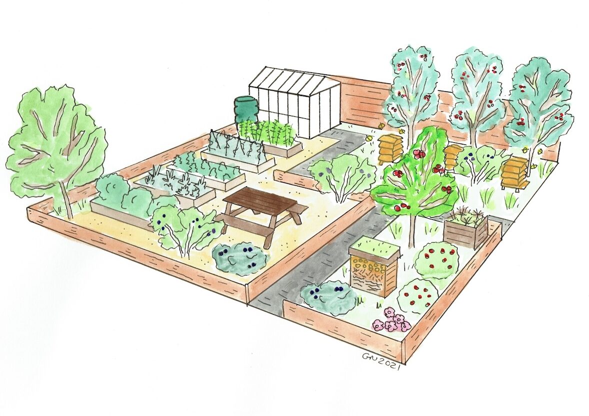 A productive allotment garden