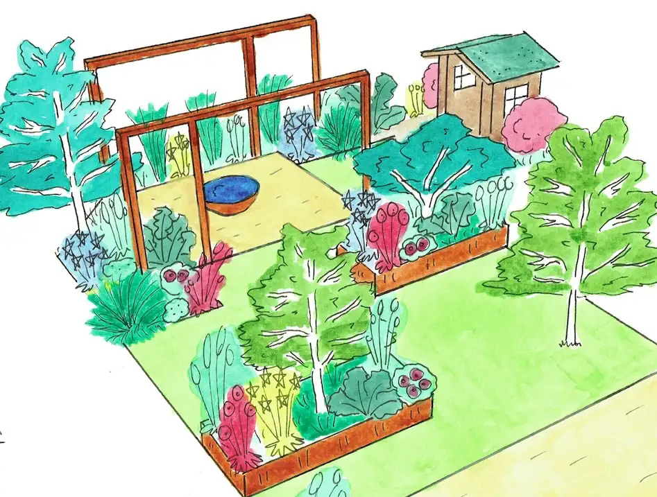 A hand drawn garden design