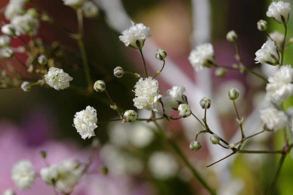 Baby breath wedding bouquet flower