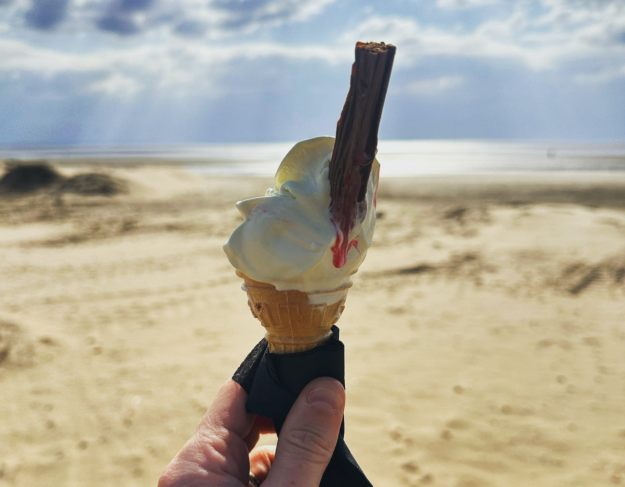 A bowl of homemade Damson ice cream