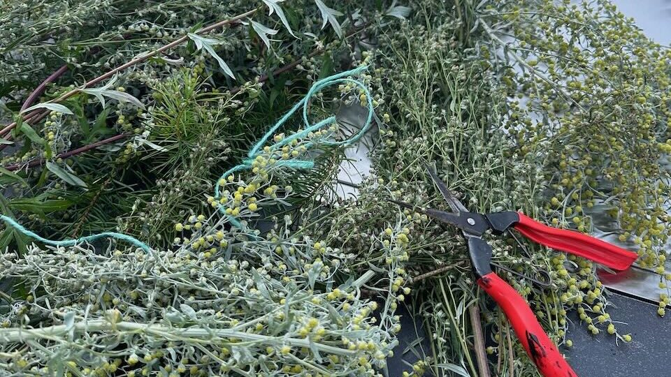 Gathering herbs for a smudge stick