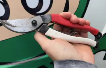 Garden Ninja holding Niwaki secateurs