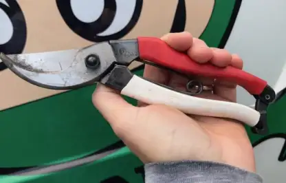 Garden Ninja holding Niwaki secateurs