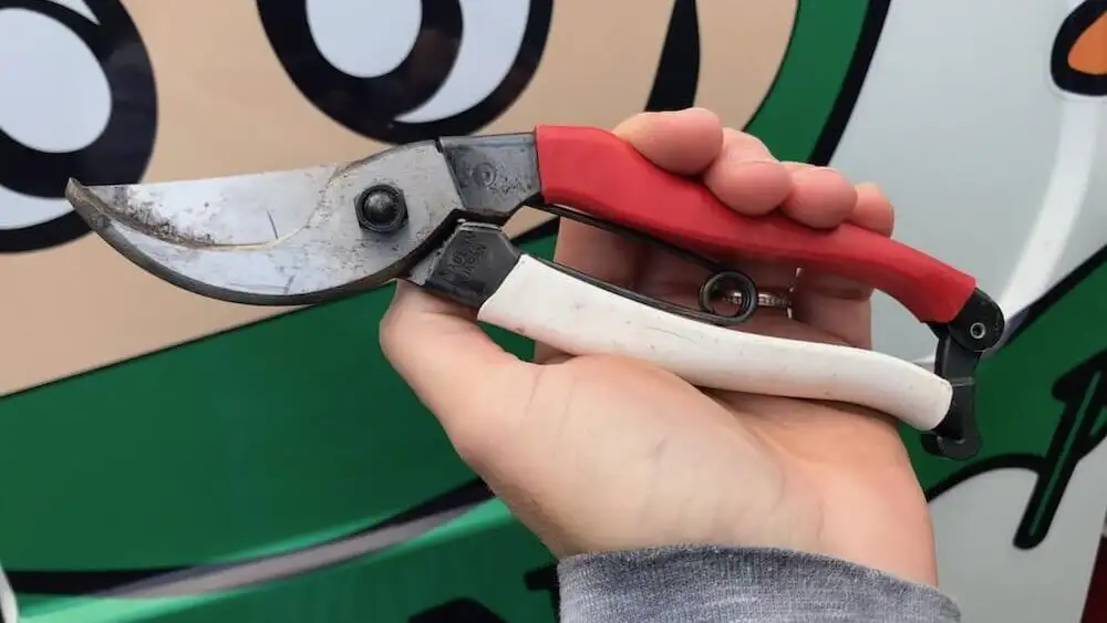 Garden Ninja holding Niwaki secateurs