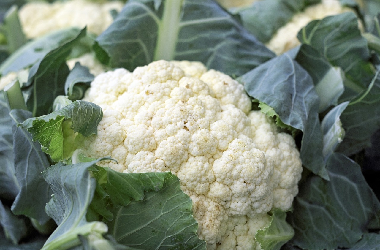 A white cauliflower curd surrounded by its outer leaves
