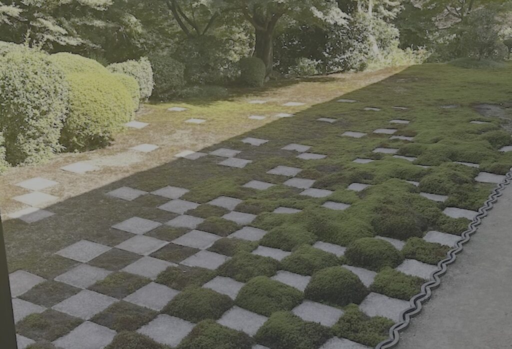 Alternatives to lawn