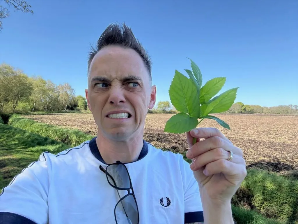 How to get rid of ground elder lee burkhill