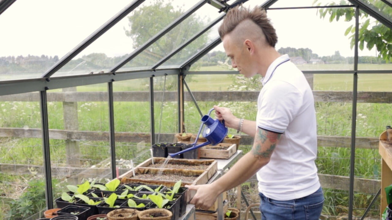 Garden Ninja watering a greenhouse