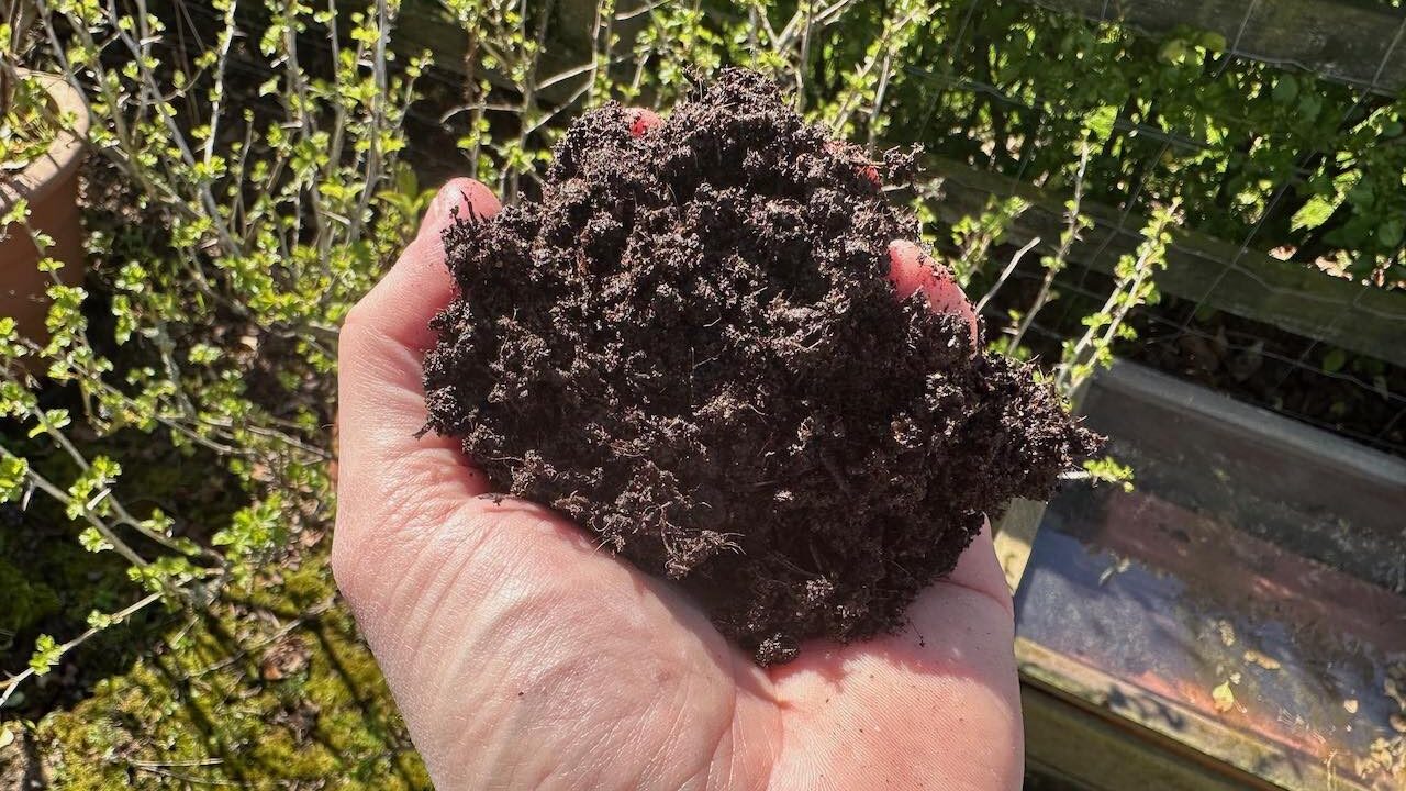 A handful of peat free homemade compost