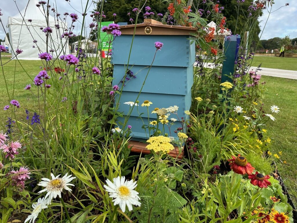A WBC bee hive