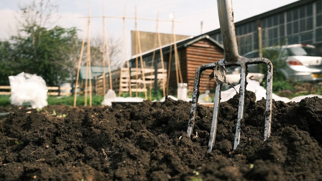A fork in dug earth