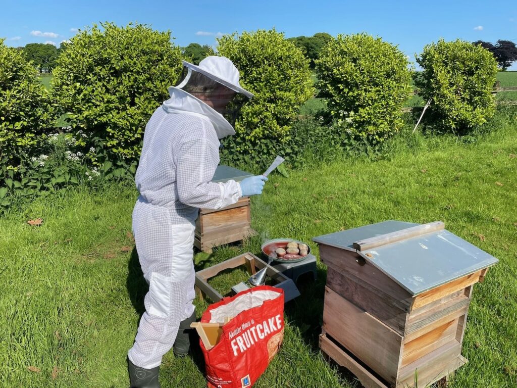 Lee Burkhill inspecting bees