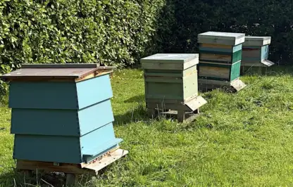 Bee hives in the garden
