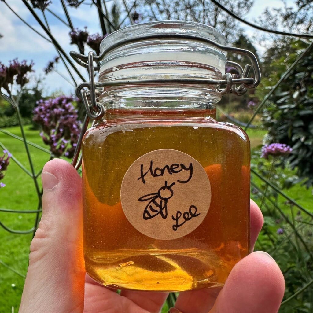 How to keep honey bees
