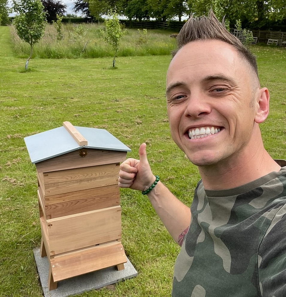 Buying your first bee hive