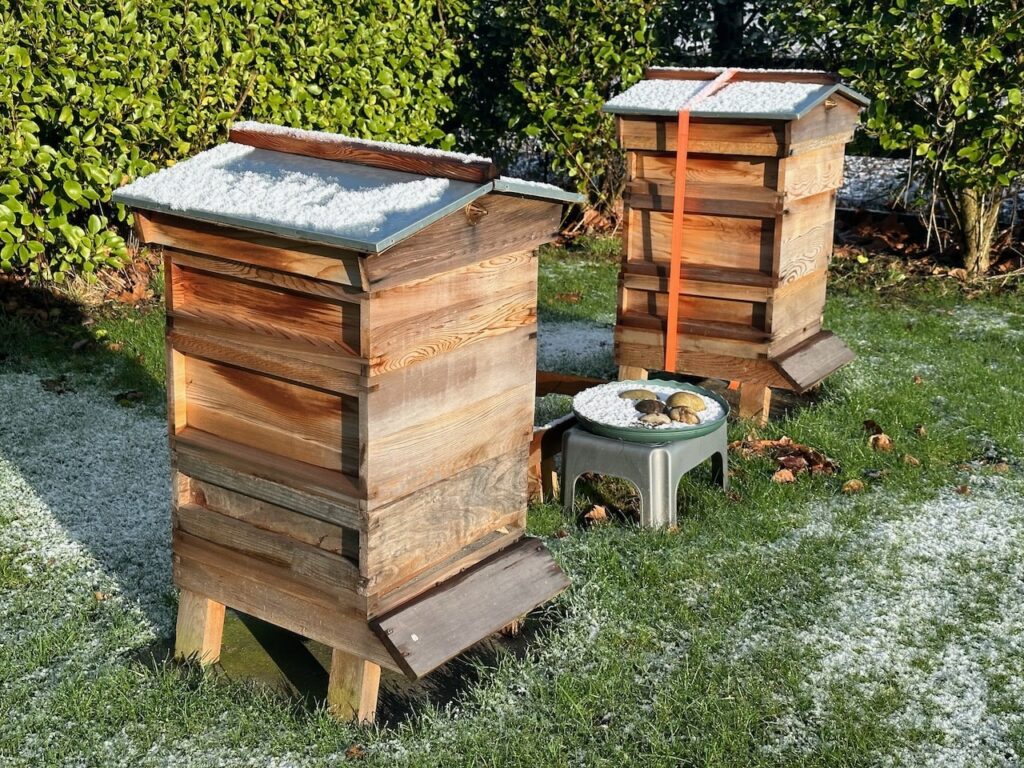 A national bee hive