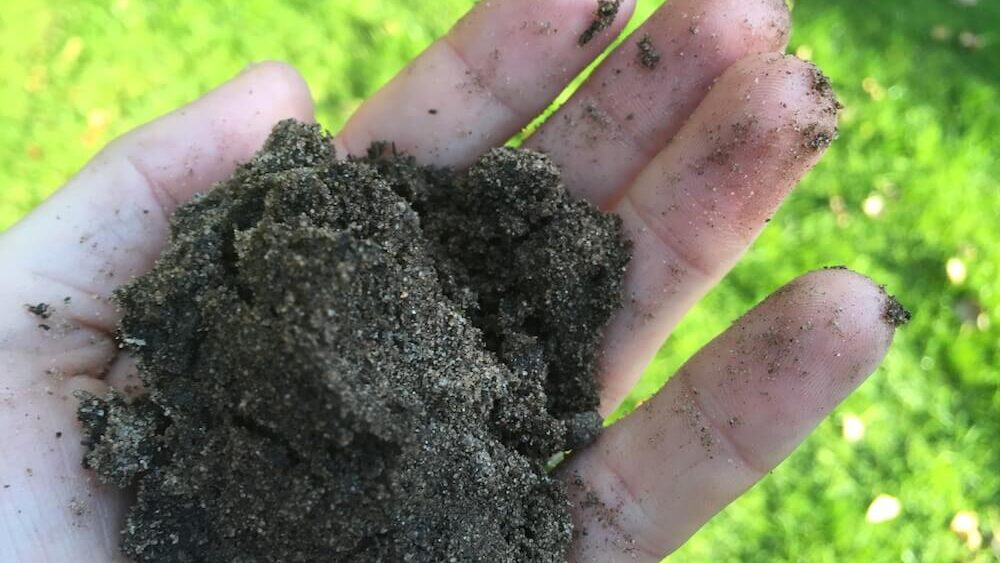 Garden Ninja holding out soil