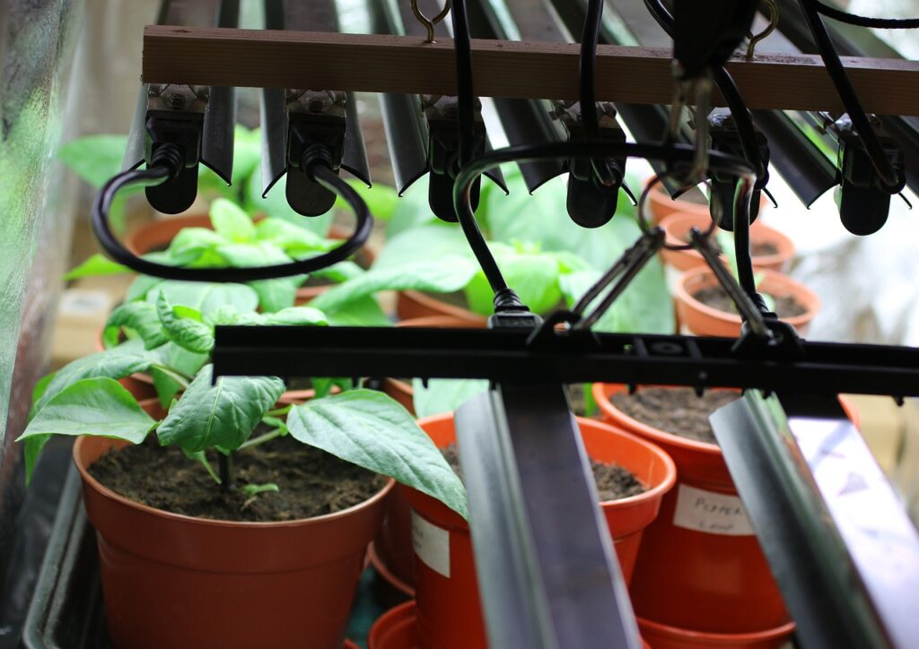 Grow lights