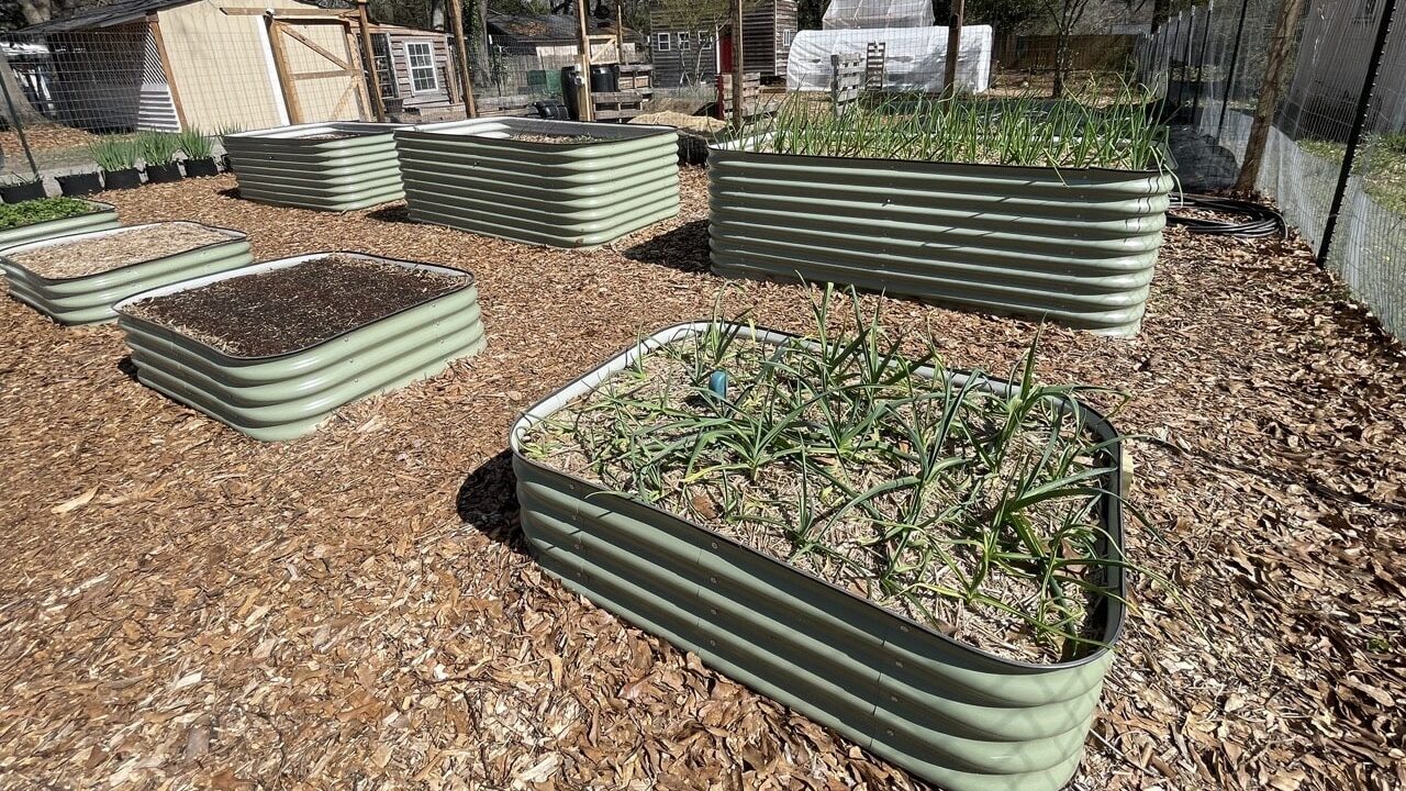 Best raised beds to buy