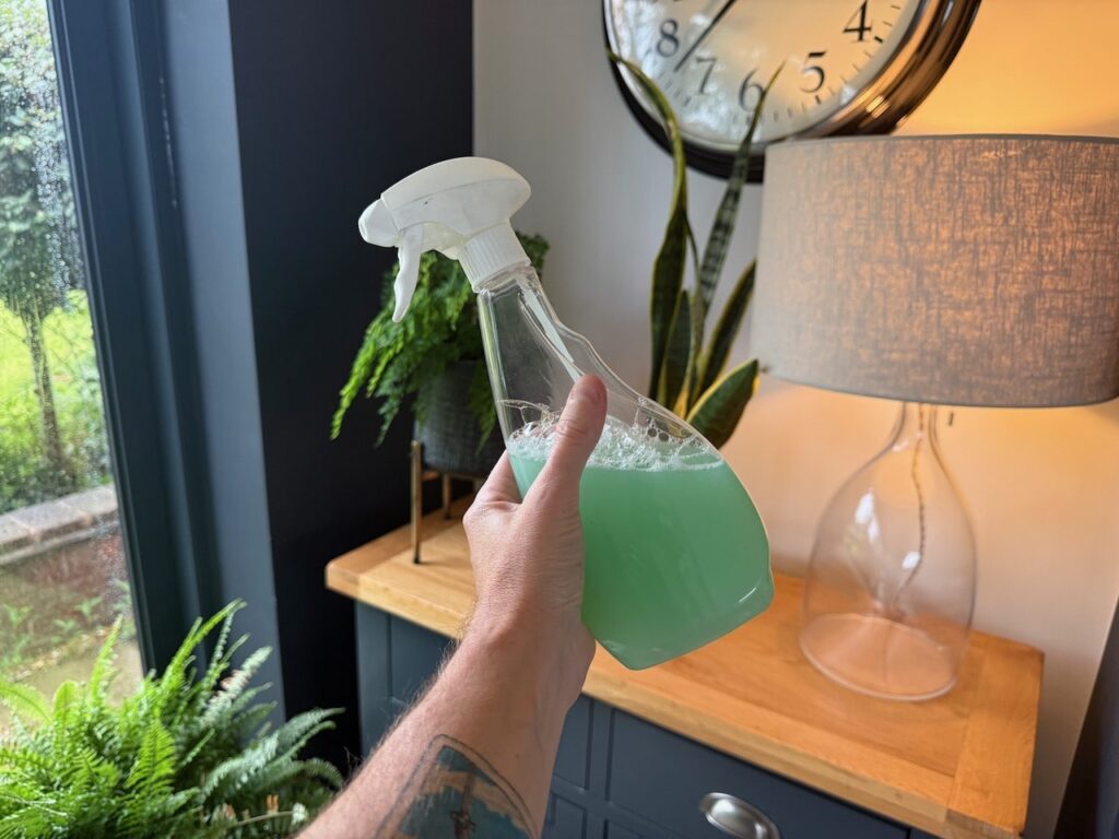 Soap spray for pests