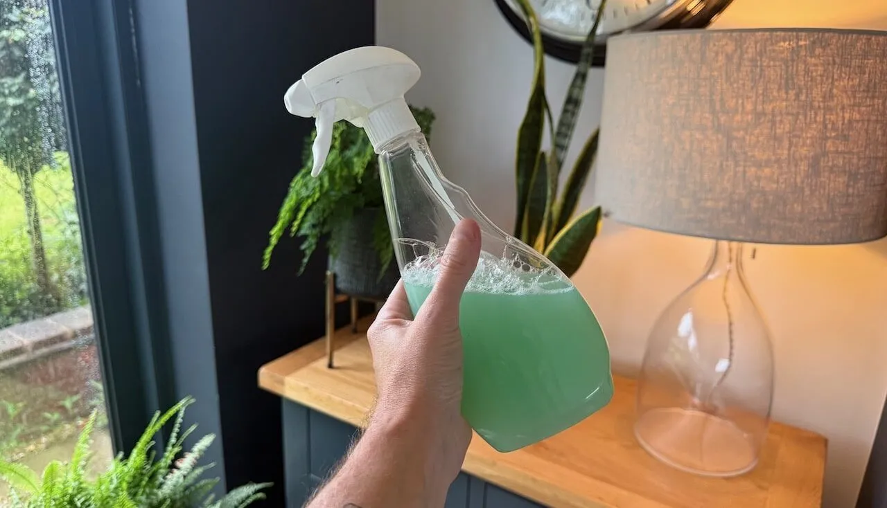 Soap spray for pests