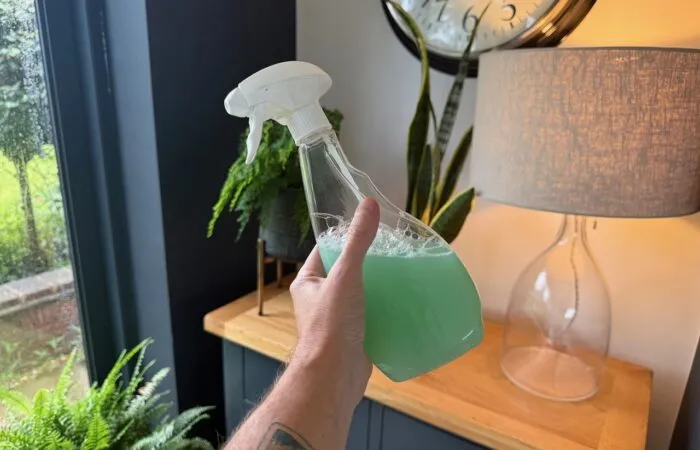 Soap spray for pests