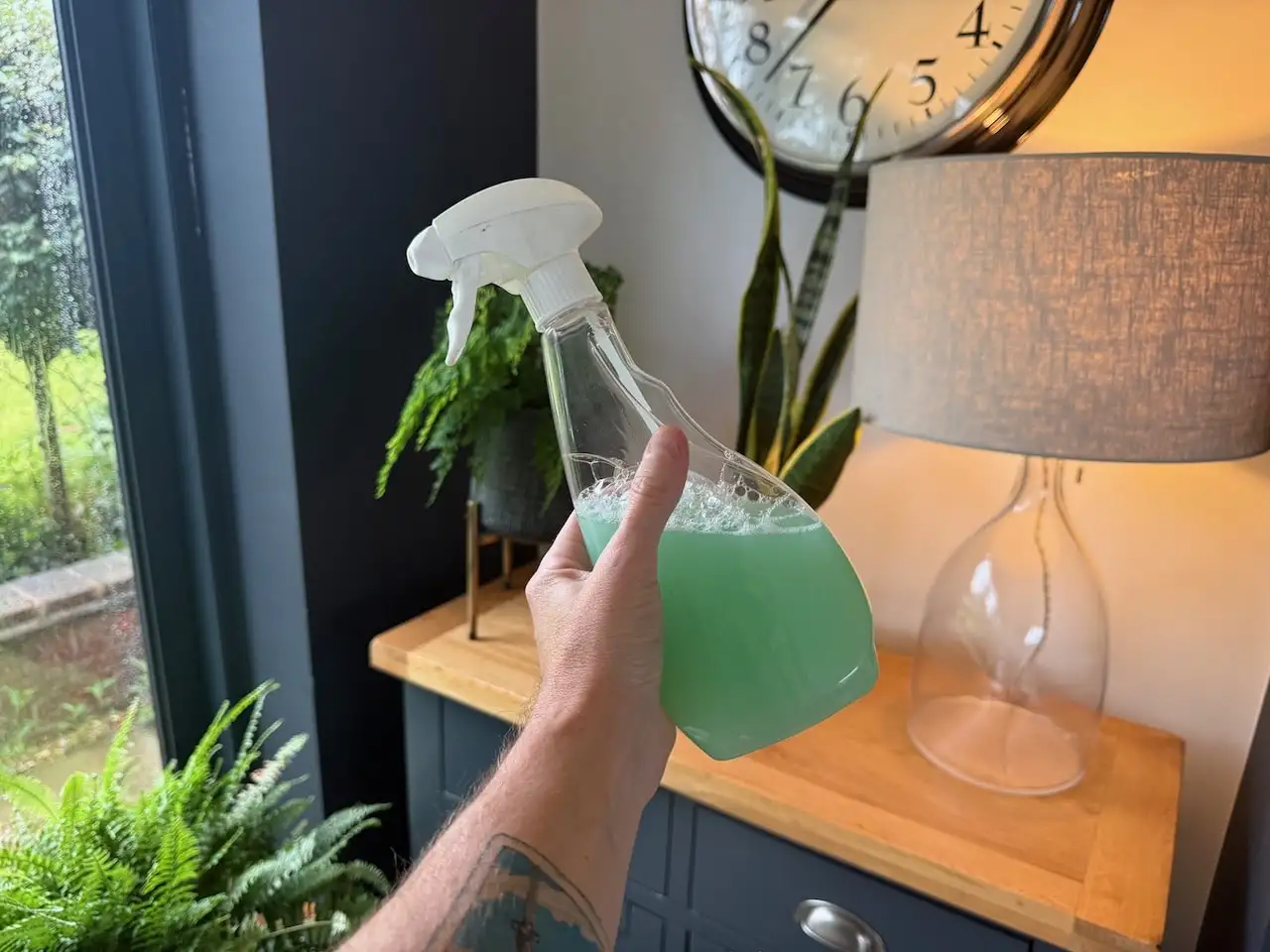 Organic soap spray mix for foliage pests