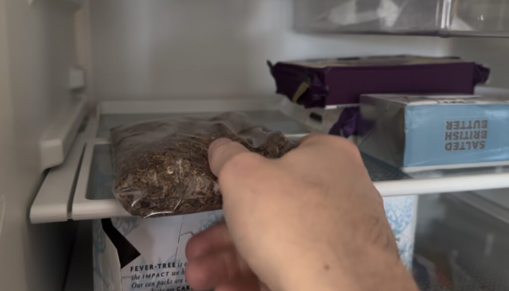 Placing seeds in a fridge
