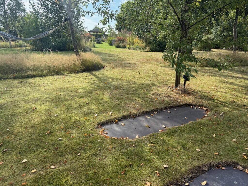Watering lawns in a heatwave
