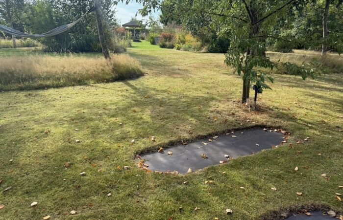 Watering lawns in a heatwave