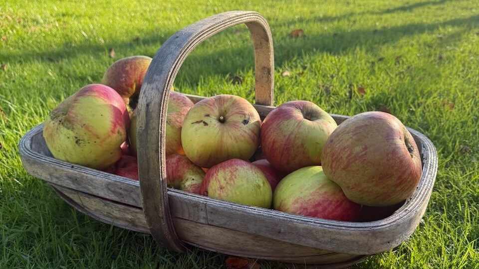 Apple sauce recipe