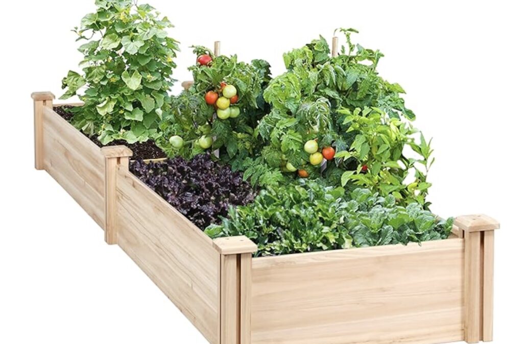 Best wooden raised beds