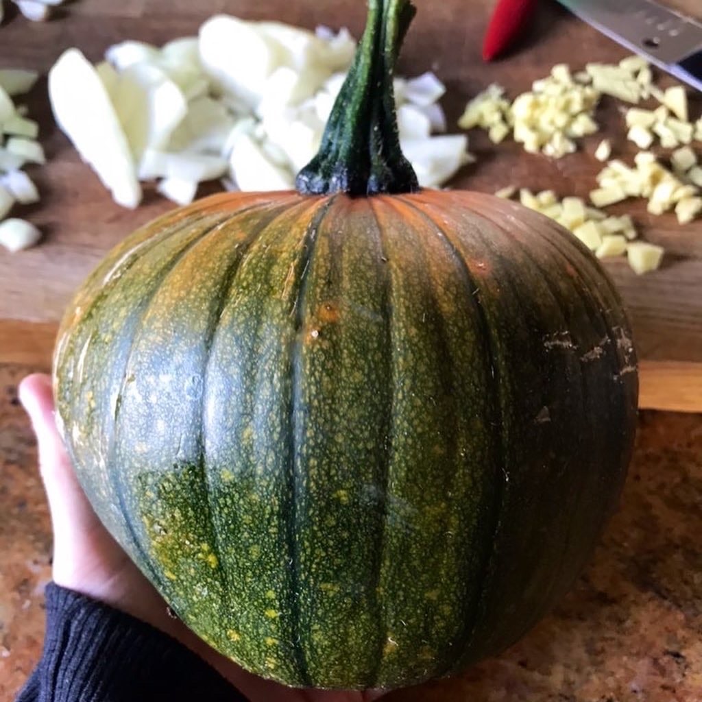 How to grow pumpkins
