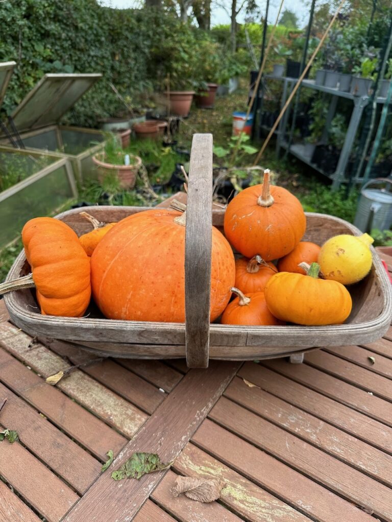 A wooden trug