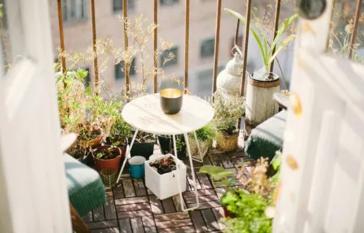 How to make a balcony garden