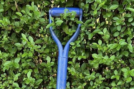 What's the best garden spade
