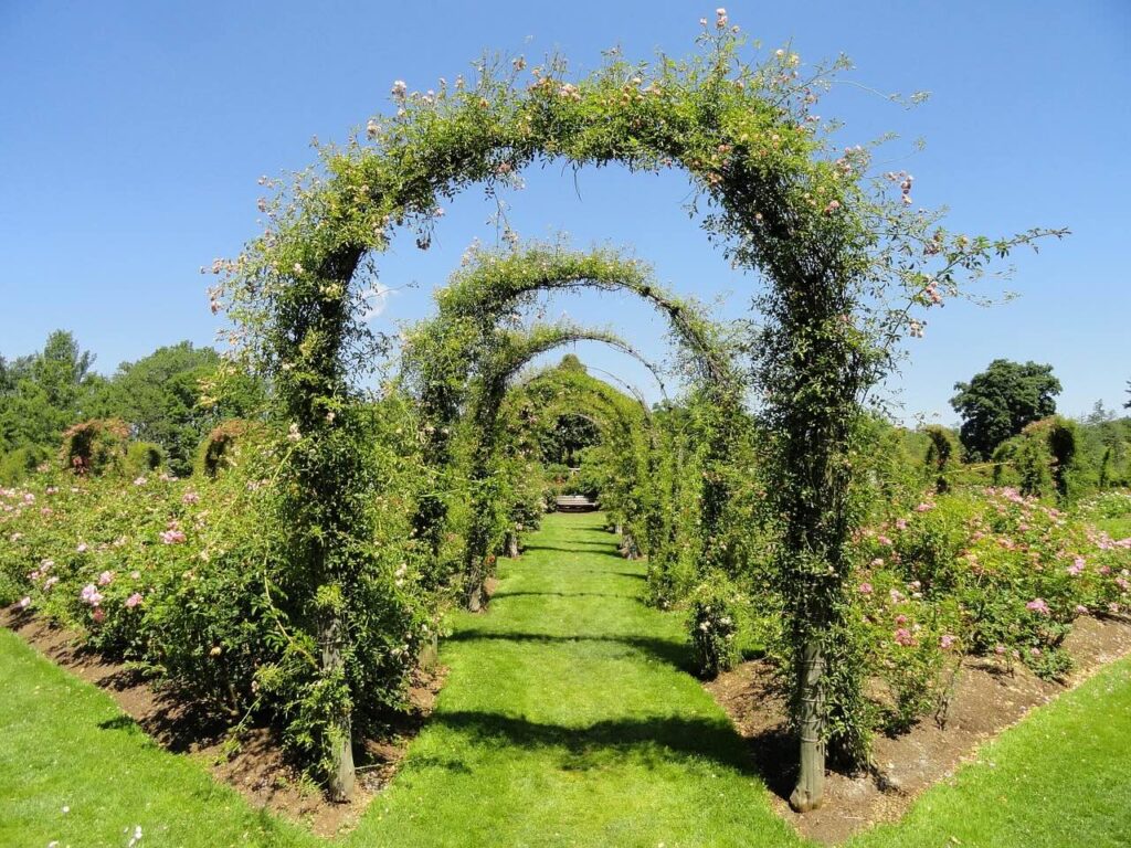 garden arches in balcony garden design