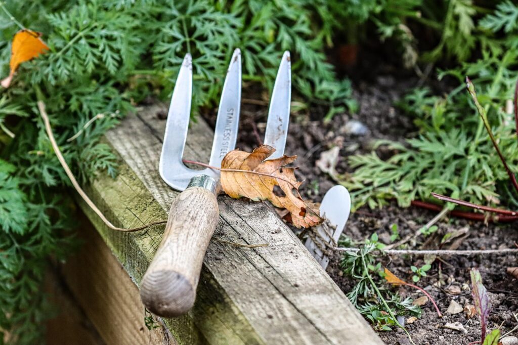Garden fork in a vegetable garden