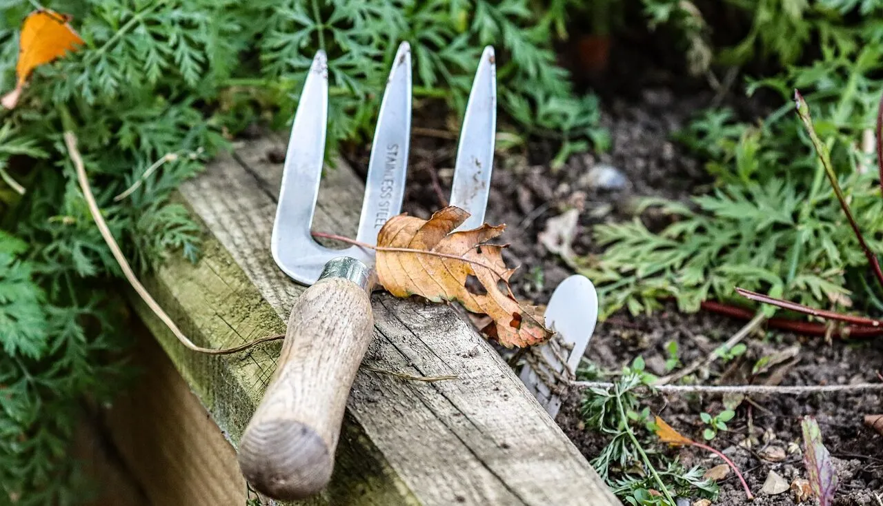 Garden fork in a vegetable garden