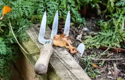Garden fork in a vegetable garden